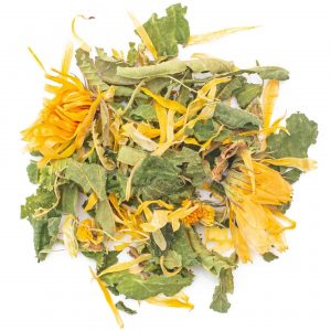 cervo in calore - immagine 1