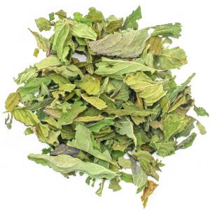 Schneegoaß – Bild 1