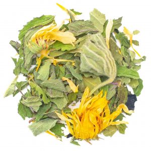 stürmiger Schorschi – Bild 1