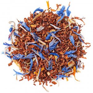 vivace Fini - immagine 1