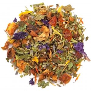 Vinzenz basico - immagine 1