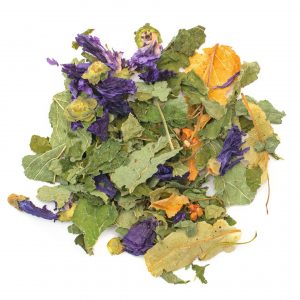 orgogliosa Babsi - immagine 1