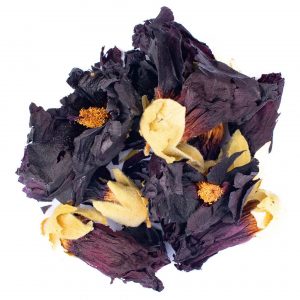 orgoglioso Stoabock - immagine 1