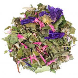 grimmiga Hirschbock – Bild 1