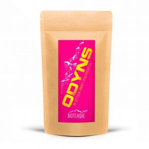 Odyns – Bild 4