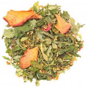 sturer Schafsbock – Bild 1