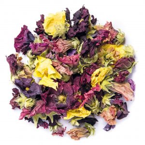 Gabi colorata - immagine 1