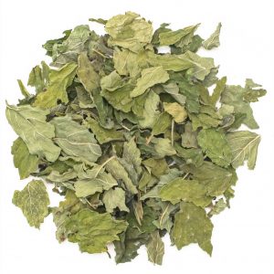 Stoagoaß - immagine 1